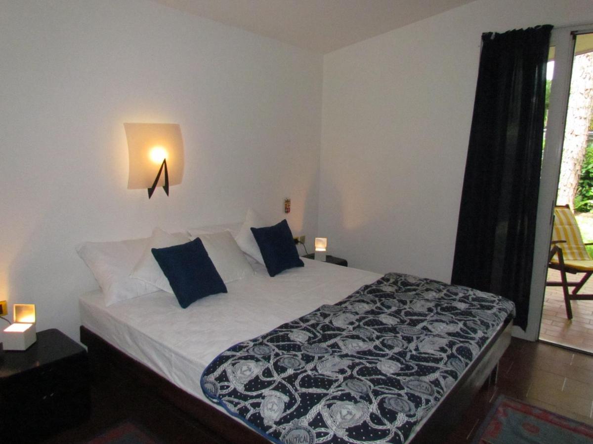 Beautiful Single With Spacious Private Garden - Place Included